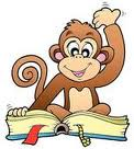 reading 